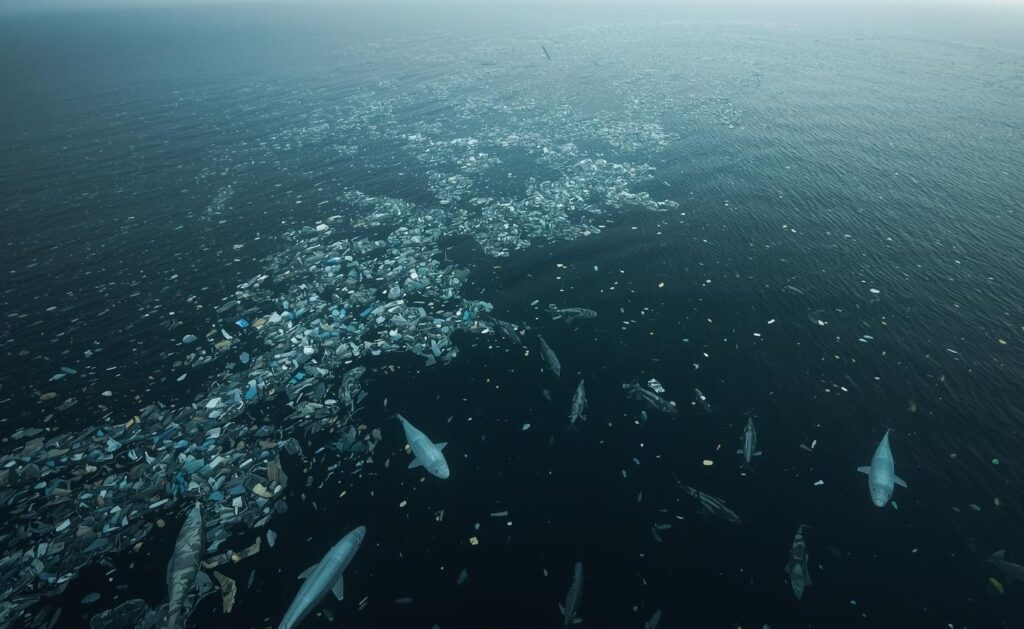 Ocean Plastic Crisis 2025